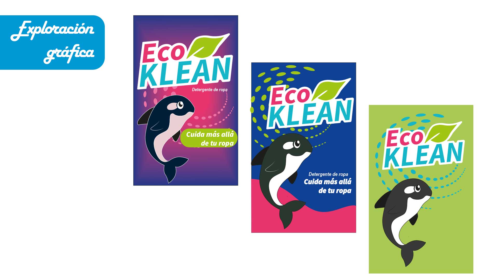 Proyecto ecoklean imagenes